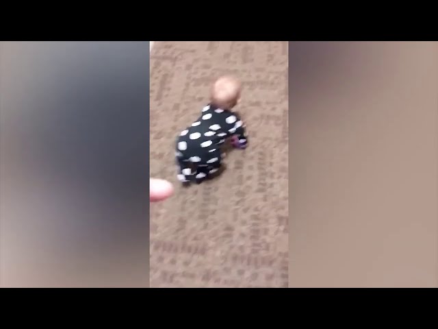 Funniest Baby Crawling