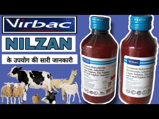 Nilzan syrup uses in hindi  oxyclozanide and levamisole hcl suspension 100,150ml Veterinary Medicine