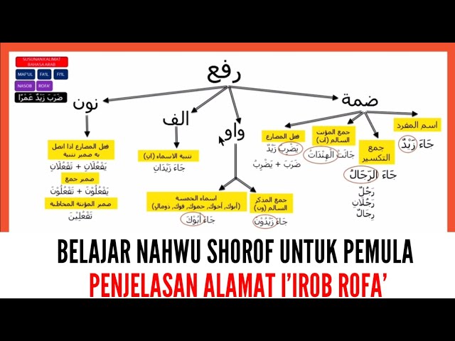 Belajar Nahwu Shorof bahasa Arab untuk pemula (Penjelasan Alamat I'irob Rofa')