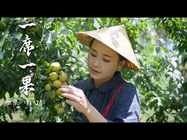 Fruit Compilation 2 | Pomelo, avocado, lemon, coconut, apple... sweet and sour flavors from Yunnan.