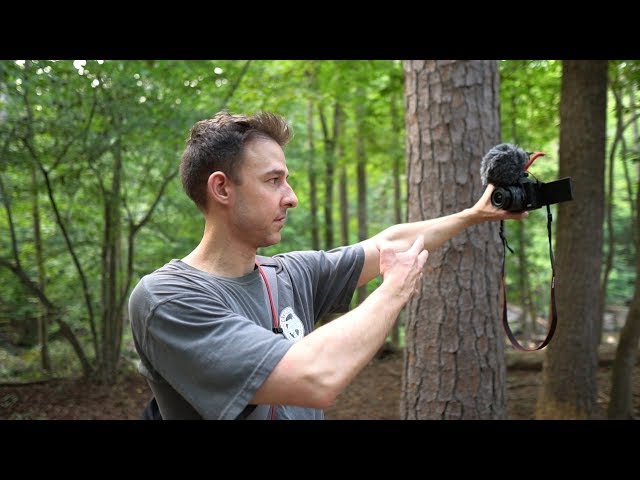 Canon m50 - VIDEO TEST & FIRST IMPRESSIONS (From a Sony User!)