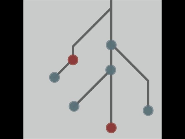 CBW Help! What Statistical Model Should I Use? 2024 | 6: Causal Inference Introduction