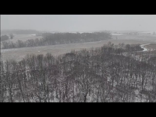 Snowing in our Forest - Homestead Life