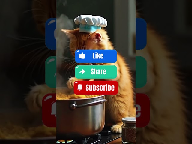 Tom's Food#cat#cats#short#shorts#trend#shortvideo#trendvideo#trending#viral#food#viralvideo#tomsfood