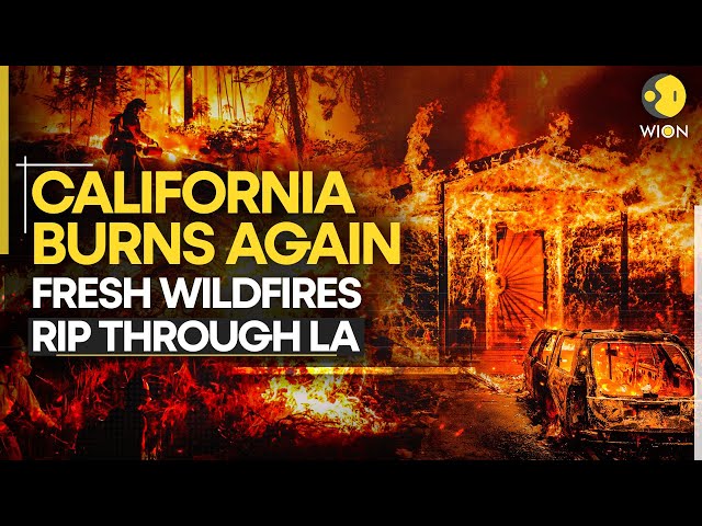 California Wildfires: New Fire Near Los Angeles Explodes To 8,000 Aacres, Forces Evacuations I WION