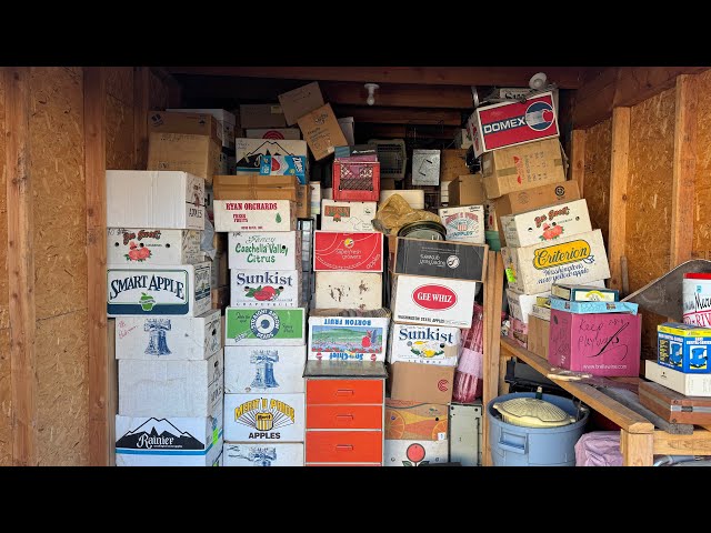 I Bought HUNDREDS of STORAGE TREASURE Finds From This Storage Locker