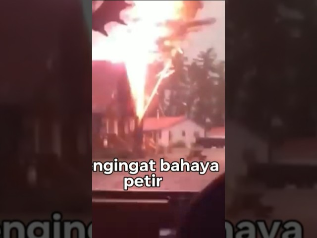 Detik-detik petir menyambar pohon@ali sodiq 1777#bahaya