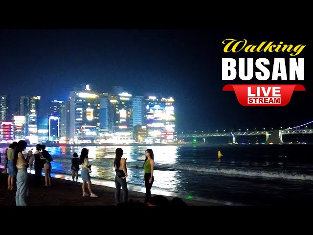 Live Busan Korea 🇰🇷 Walk Tour Busan 🤩 Busan Beach Night Street Walking Tour, Korean Food Street