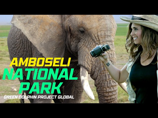 Let's go on a wildlife safari in Kenya's Amboseli National Park!