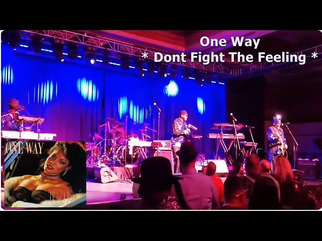 One Way - Dont Fight The Feeling (Versão Vinil)