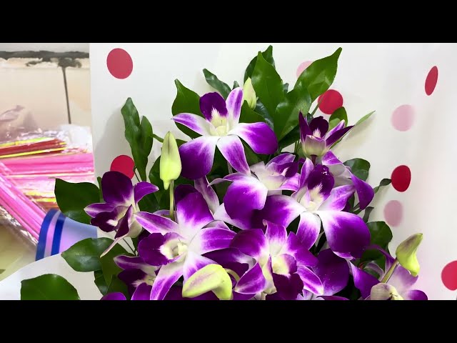 Lovely Flower Decoration in Retail Shop 3 |  Royalty free stock video footage - No copyright | 4K