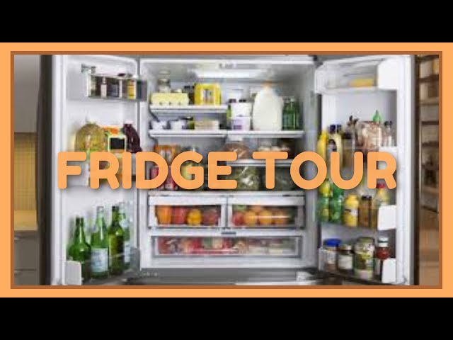 What the Fridge?