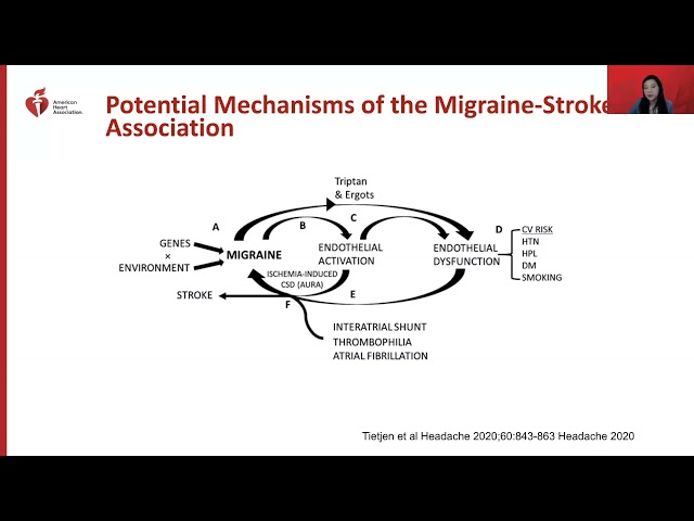 2023 December Pain Management Summit Session 3: Unraveling Headache in Vascular Health