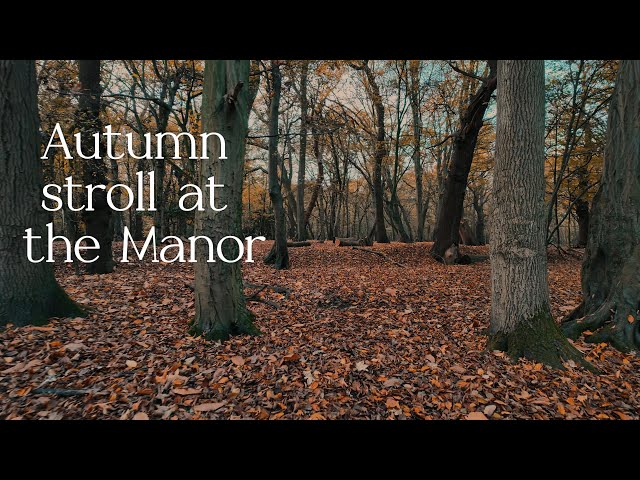 Autumn at the Manor: A Tranquil Stroll Through Fall Foliage