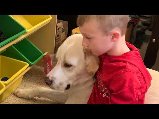 Special needs rescue dog is so sweet to his family