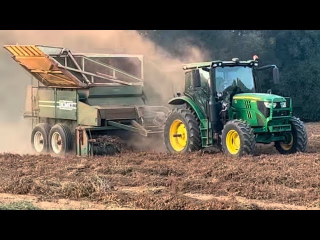 Peanut harvest