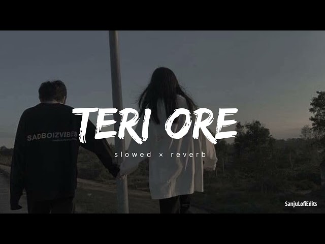 Teri Ore [ Slowed + Reverb ] | Rahat Fatah Ali Khan | lofi song |