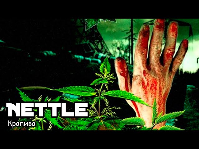 Nettle (2016) [ENG SUB] NEW ACTION HORROR MOVIE!