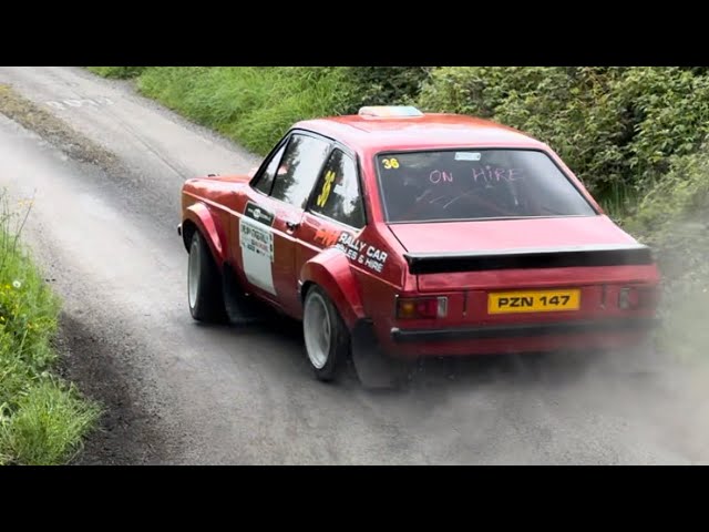 Carlow Stages Rally 2024 Action & Mistakes!