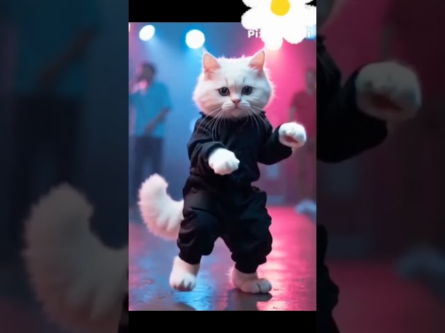 Cat video dance on kala libass#cartoon #funny #shortvideo #viralvideo #youtubeshorts #viralcat