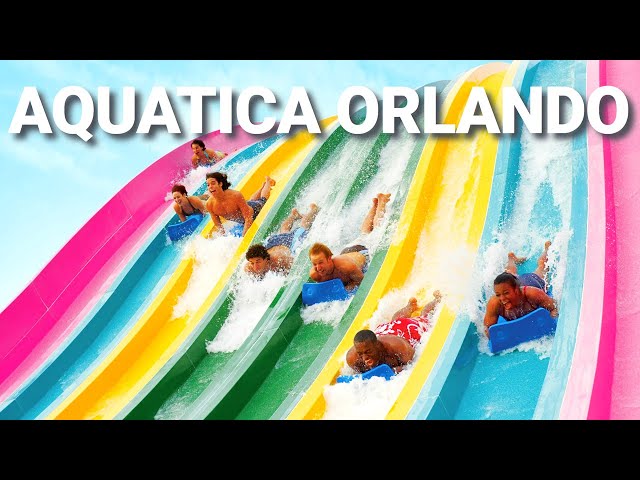 Aquatica Orlando, Water Park - Slides and Walking Tour