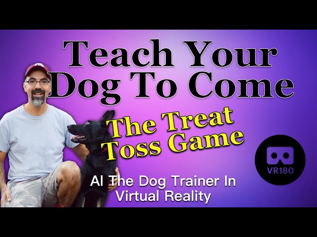 Teaching Your Dog To Come in VR180 - The Treat Toss Game