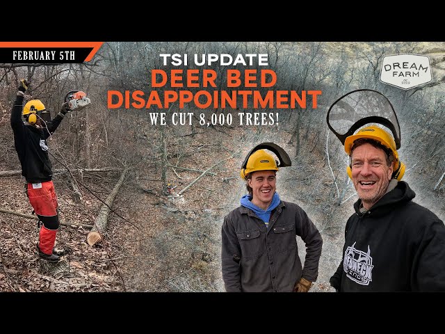 We Cut 8,000 Trees - Disappointing Lesson from Deer Beds | Dream Farm w/ Bill Winke