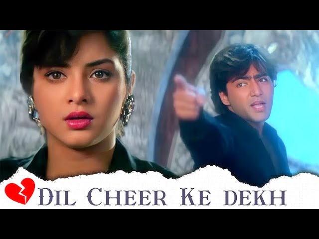 Dil Cheer Ke Dekh 💔 Tera Hi Naam Hoga - Lyrical | Rang | Divya Bharti | Kumar Sanu | 90's Hits 💔Song