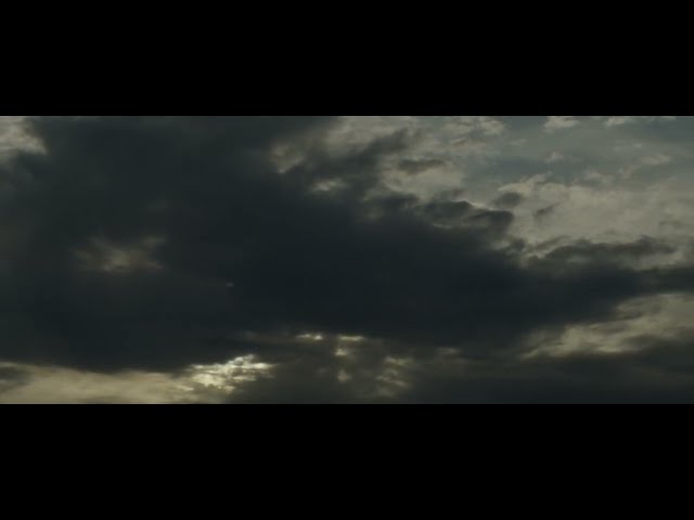 BMPCC 6K Pro - Helios 44 2 58mm f2 - Sirui 1 25x Anamorphic Adapter