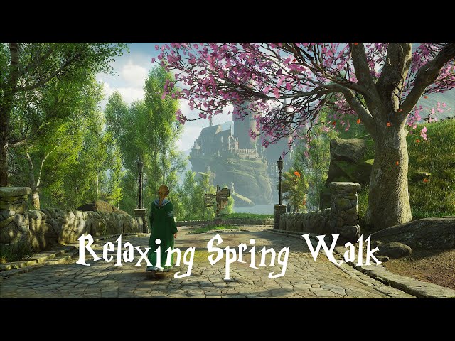 Relaxing Spring Walk to Hogwarts Owlery | Hogwarts Legacy (ambience)