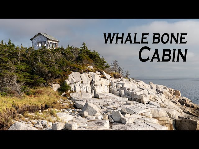 Remarkable Off-Grid Cabin with 360° Views of the Ocean