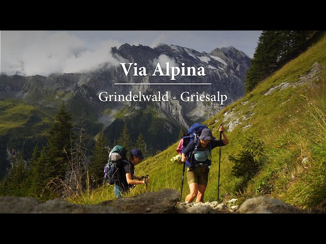 Seven Days Hiking the Via Alpina | Engelberg - Griesalp Part 2