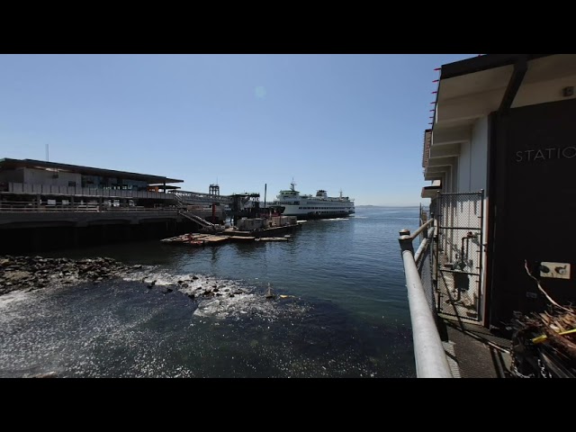 Seattle Waterfront Clip Series 3D VR 8k 180°  Ferries Pike Place Oculus Metaverse Virtual Realty