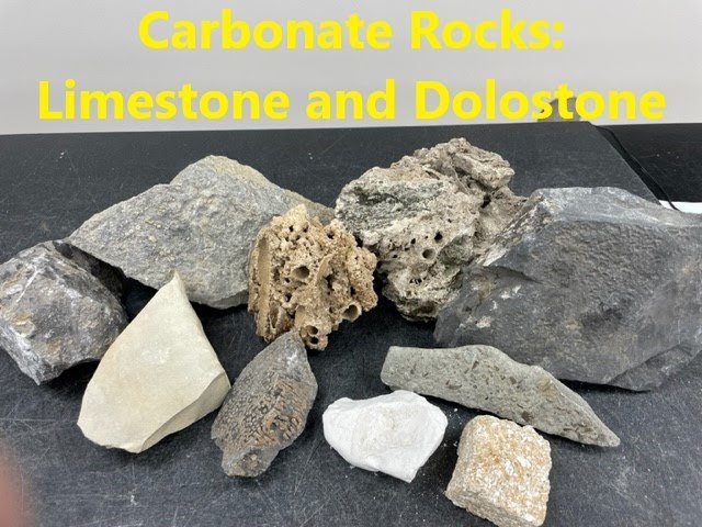 Rock Identification with Willsey: Carbonate Sedimentary Rocks (Limestone and Dolostone)