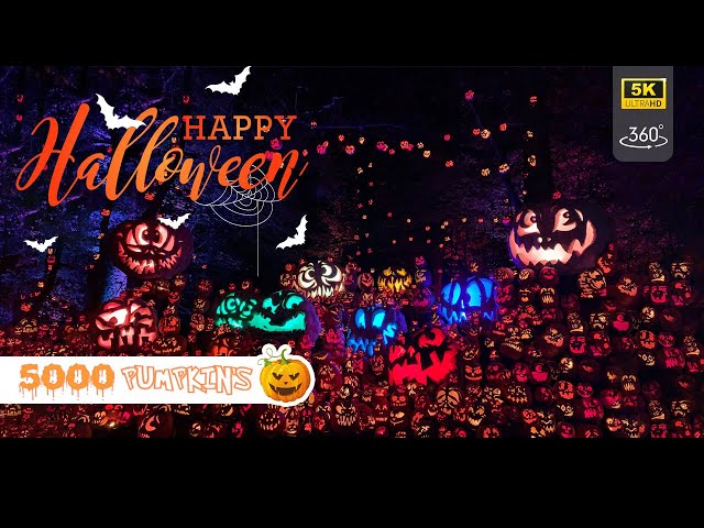 360 Degree VR 5.7K Video | 5K Pumpkins | HALLOWEEN EVENT | Louisville