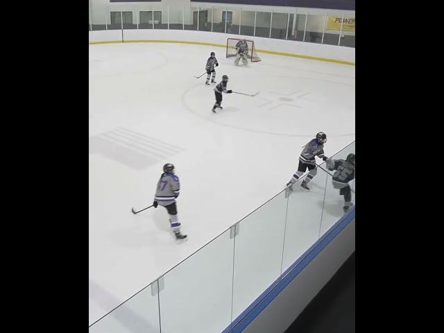 Danielle Risty intercepts the pass and goes bar down #hockey #goals #sports