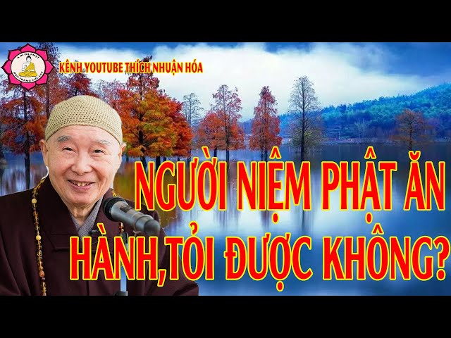 Người Niệm Phật Ăn Hành Tỏi Có Được Hay Không _Pháp Sư Tịnh Không Giảng|Kênh Youtube Thích Nhuận Hóa