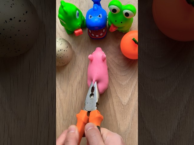 Squishy Piggy Crying! 🐽🐷🐖 #satisfying #squishy #toys #asmr #funny #crying #piggy #shorts