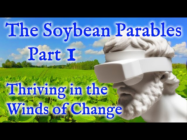 Soybean Parables - Part 1 :  Thriving in the Winds of Change | Virtual Reality / VR180