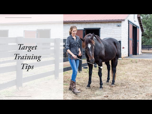 Target Training Tips