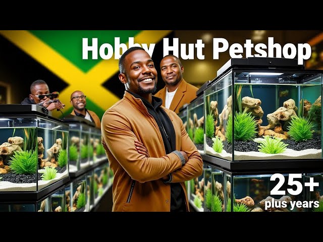 FRESHWATER  and  Marine Aquarium SETUP || HOBBY hut PETSHOP Jamaica, 25 years and counting