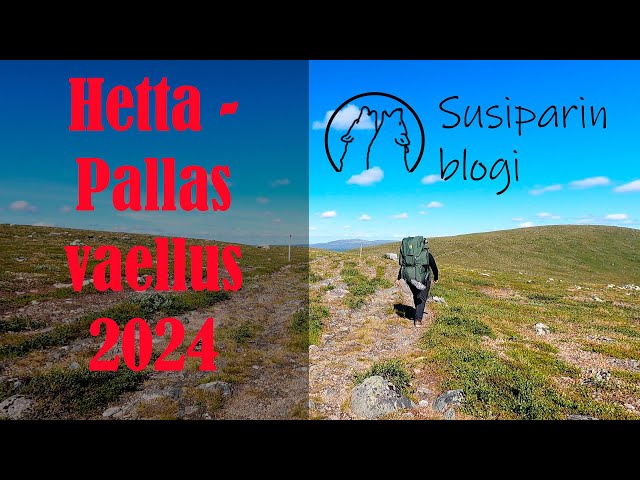 Midsummer Hiking 2024 - Hetta-Pallas - #hiking