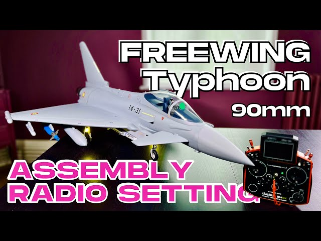 ASSEMBLY & RADIO SETTING • NEW Freewing Eurofighter Typhoon 90mm RC PLANE • (English/Français 4K)