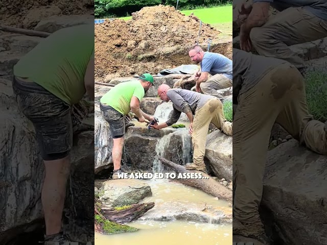 Ed The Pond Professor on Clearing up Ponds! 🐠🤯🐟