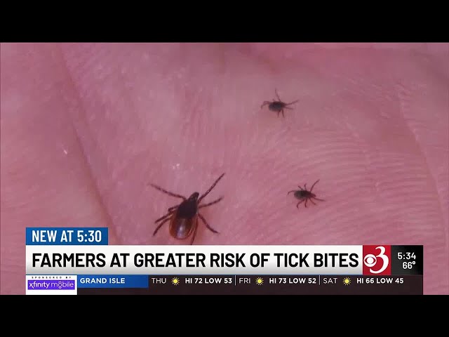 Scientists study ways to keep farmworkers safe from ticks