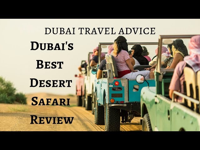 Best Desert Safari in Dubai - Top Desert Safari Companies Reviewed