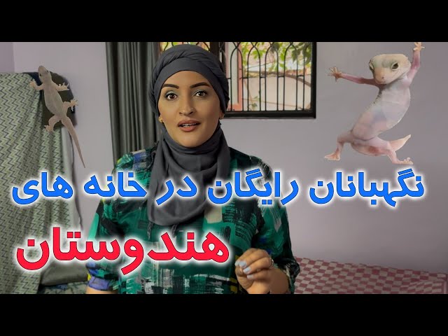 در هر خانه وجود دارند از دست اینها در هندوستان دیوانه شدیم !🤦🏻😠