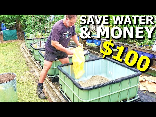 LOW Cost DIY Self Watering Raised Garden Wicking Bed From an IBC