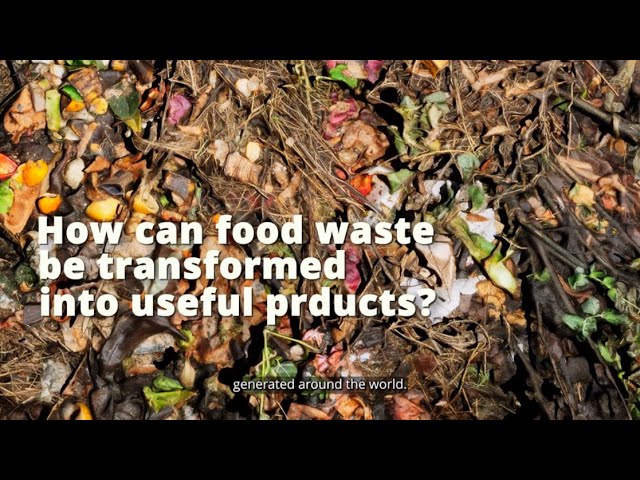 How can food waste be transformed into useful products? | DBS Foundation Grant Award