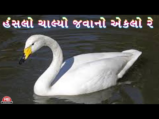 HANSLO CHALYO JAVANO EKLO RE |GUJARATI BHAJAN|ASHIT BHATT|PREMESH THAKOR